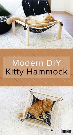 an orange cat laying in a hammock on top of a white rug with the words modern diy kitty hammock