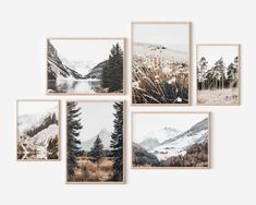 six framed photographs of mountains and trees with snow on the tops, in various frames