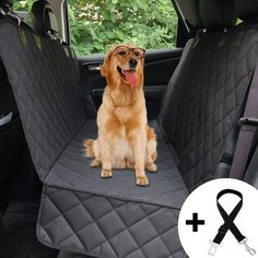 a dog sitting in the back seat of a car