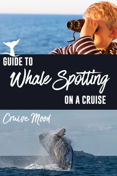 the guide to whale spotting on a cruise with an image of a boy looking through binoculars