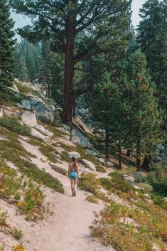 a woman with an umbrella walking down a trail