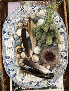 a blue and white plate topped with feathers, sea shells and other marine life items