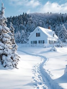 a white house in the middle of a snow covered forest with tracks leading to it