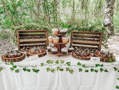 there are many cupcakes on the table in the woods with ivy growing around them