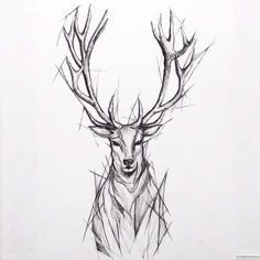 a pencil drawing of a deer with antlers on it's head and neck