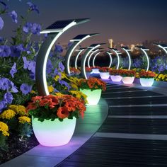 several planters with flowers and lights on them