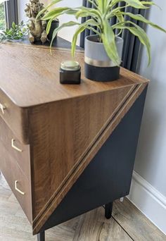 a plant is sitting on top of a dresser