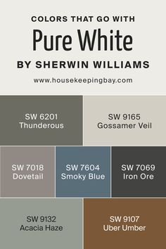 Colors That Go With Pure White SW-7005 by Sherwin Williams Acacia Haze Sherwin Williams, Dovetail Sherwin Williams, Acacia Haze, Gossamer Veil, Outside House Colors, Farmhouse Paint Colors, Craftsman Exterior, Sherwin Williams Colors, House Color Palettes