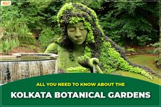 a green statue with moss growing on it's head and the words, all you need to know about the kolka botanical gardens