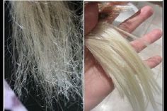 7 façons de réparer vos cheveux abîmés! les résultats sont rapides Health Coconut Oil, Coconut Oil Hair Mask, Coconut Oil Hair, Hair Remedies, Hair Repair, Diy Hair, Hair Care Tips, Hair Dye, Hair Health