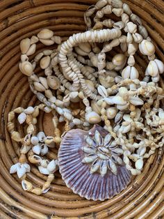 sea shells and clams in a wicker basket