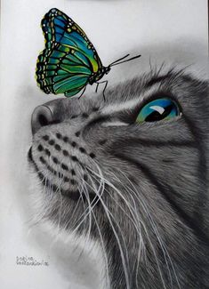 a drawing of a cat with a butterfly on it's head looking up at the sky