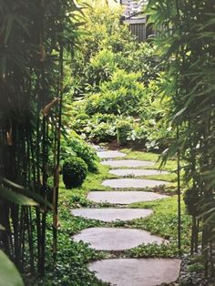 a stone path in the middle of a lush green garden