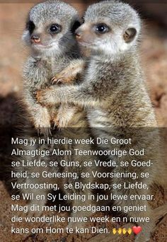 two baby meerkats standing next to each other on top of dirt ground