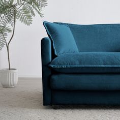 a blue couch sitting next to a potted plant on top of a carpeted floor