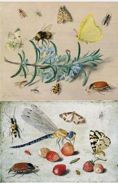 two paintings with insects and flowers on them