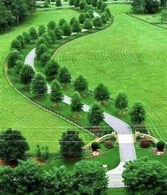 an aerial view of a lush green field with trees and a winding road in the middle