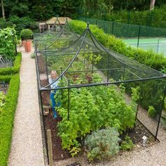 a little boy that is standing in a garden