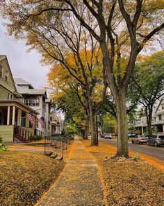 a tree lined street with houses and trees in the fall