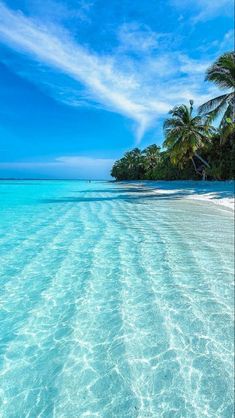 the water is crystal blue and there are palm trees on the beach in the background