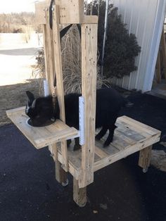 a black cat laying on top of a wooden stand