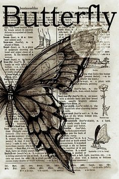 a drawing of a butterfly on an old book page