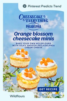 an advertisement for cheesecake and everything orange blossom cheesecake minis