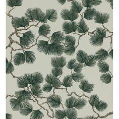 pine green wallpaper with branches on it