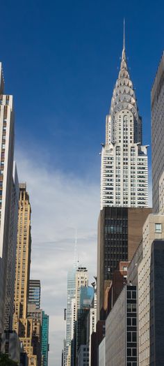 tall buildings stand in the city skyline against a blue sky