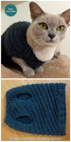 a cat wearing a sweater sitting on top of a wooden table next to a blue knitted object