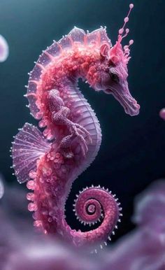 Stunning Seahorse..
SEE MORE: 30 Trippy Looking Amazing Deep-sea Creatures. Seahorse Art, Underwater Animals, Deep Sea Creatures, Pink Sea, Beautiful Sea Creatures, Water Animals, Sea Dragon, Underwater Creatures