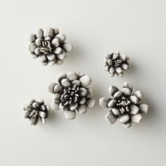 three small flowers are shown on a white surface, one is black and the other is gray