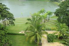 an aerial view of a lush green park with palm trees and water in the background