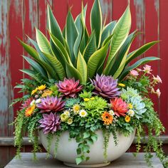 a potted plant filled with lots of colorful flowers on top of a wooden table