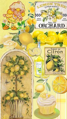 a collage of lemons and other items