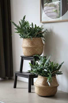 two planters sitting next to each other with plants in them