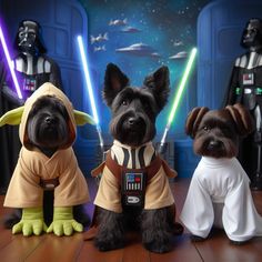 three dogs dressed up as star wars characters sitting on a wooden floor in front of darth vader and yoda