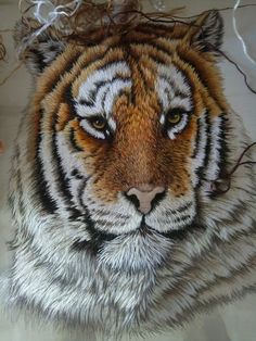 a close up of a tiger's face on a white surface with brown and black stripes