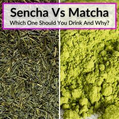 matcha powder and green tea with the words, which one should you drink and why?