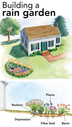 two pictures showing the different types of garden plants