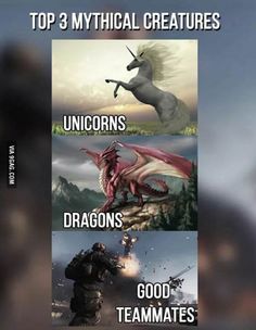 the top three mythical creatures are unicorns, dragon's, good team mates