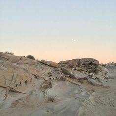 there are many rocks and plants growing on the side of this hill in the desert