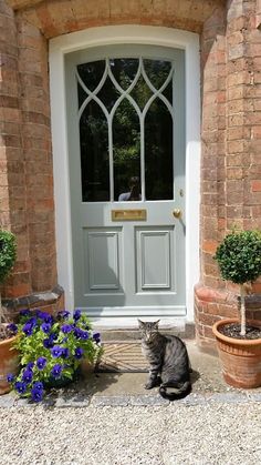 a cat sitting in front of a door with potted plants on the ground next to it