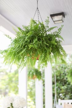 a green plant hanging from the ceiling in front of a white porch with chairs and table