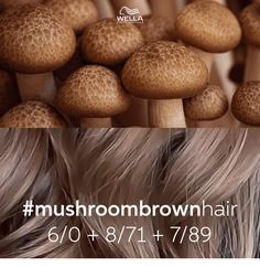 Cool Tone Brown Hair, Cassie Hair, Mushroom Brown Hair, Beige Blonde Hair Color, Beige Blonde Hair, Mushroom Brown, Blond Balayage, Wella Color