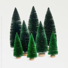 four small trees are lined up in the shape of christmas trees with wooden bases on white background