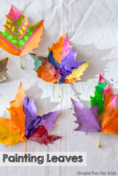 colorful autumn leaves are arranged on white paper