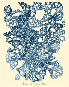 an abstract blue ink drawing on white paper