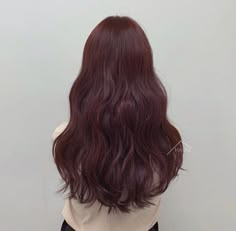 Red Brown Hair Asian, Dark Red Asian Hair, Burgundy Hair Asian, Dyed Hair Asian, Red Hair Asian, Asian Red Hair, Hair Colour Inspo, Hair Asian, Hair Colour Design