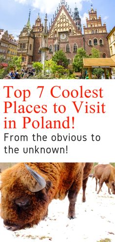 the top 7 coolest places to visit in poland from the obvious to the unknown